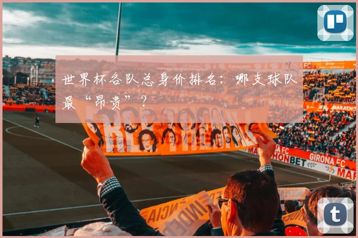 世界杯各队总身价排名:哪支球队最“昂贵”?