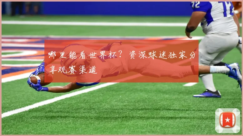 哪里能看世界杯?资深球迷独家分享观赛渠道