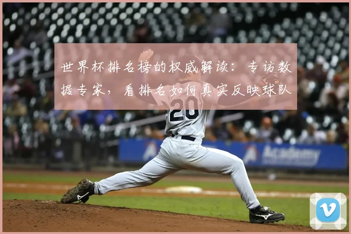 世界杯排名榜的权威解读:专访数据专家,看排名如何真实反映球队实力