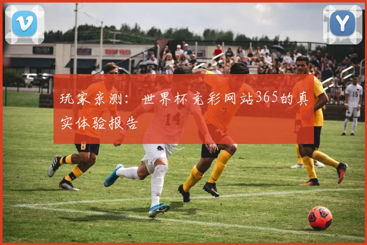 玩家亲测:世界杯竞彩网站365的真实体验报告