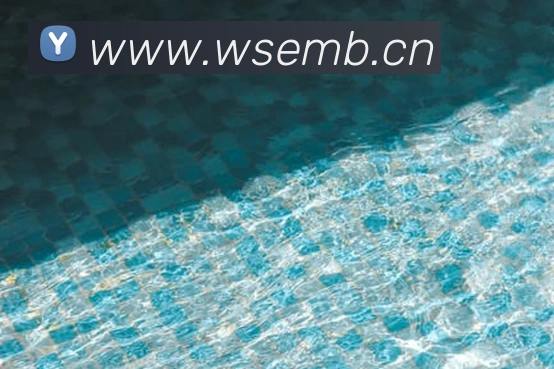 App Interface Preview