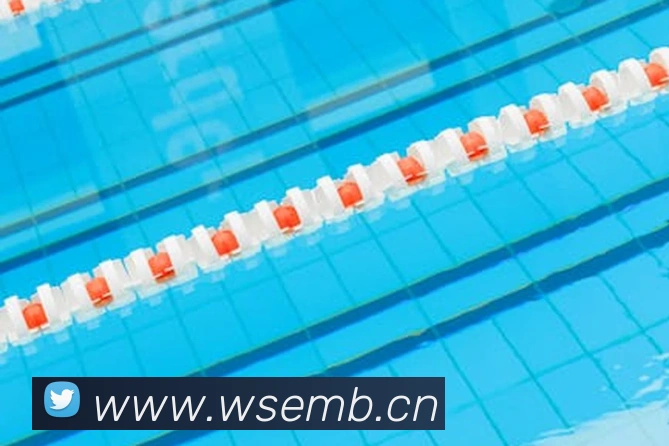 乐鱼网页登录官网APP 封面图